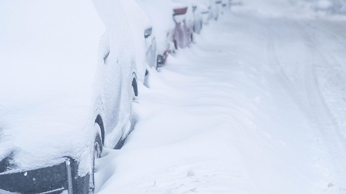 Jusqu’à – 35 °C annoncés aux États-Unis : quelles répercussions de cette tempête hivernale exceptionnelle en France ?