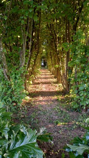 Christine de Boissieu a aménagé, au fil des années, un magnifique jardin botanique, primé à plusieurs reprises.