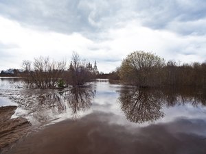 Le corps du chasseur qui était porté disparu retrouvé dans la rivière, il avait été emporté par le courant en voulant sauver son chien tombé à l'eau