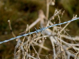 Sans nouvelles de son fils, un chasseur retrouvé sans vie sur son terrain, il aurait été victime d'un tir accidentel après une chute