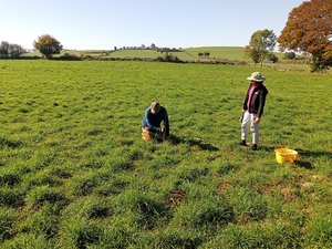 "On nous prenait pour des farfelus" : avec un employé piégeur, un bilan prometteur dans la lutte contre les campagnols sur l'Aubrac