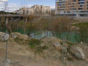 Elle croit voir son chien tomber dans le fleuve alors elle se jette à l'eau : les policiers plongent à leur tour pour la sauver