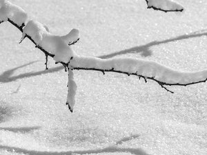 "On attend jusqu'à 20 centimètres" : six départements en vigilance neige lors de l'important épisode de pluie