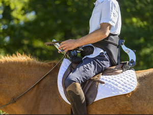 "Le cheval est un médiateur extraordinaire" : pourquoi le Rotary club de Rodez se mobilise pour les Cavaliers de Vors ?