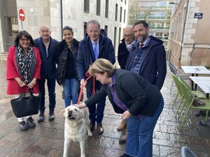 Municipales 2026 : pour Tous Ruthénois et le candidat Christian Teyssèdre, "les animaux sont un sujet de la vie quotidienne"