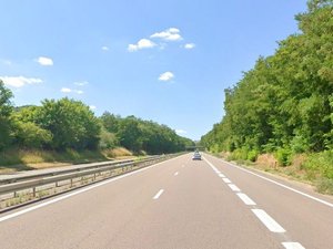 Les chiens de chasse étaient en train de lui mordre les pattes : un cerf en panique saute sur l'autoroute devant les automobilistes