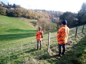 Ils sont aux portes des villes en Aveyron : un mois de battues aux sangliers validé pour Decazeville