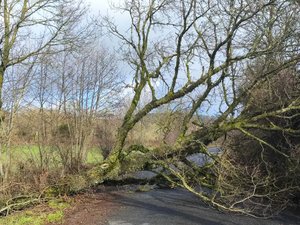 Tempête Nils : peut-être jusqu'à... 168 km/h ? Où est-ce que les vents ont soufflé le plus fort en Aveyron ?