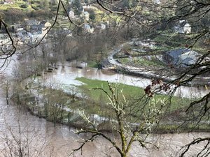 Après les intempéries, les animaux de la SPA d'Espalion ont trouvé un foyer grâce à un vaste élan de solidarité