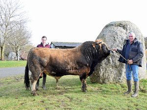 "On ne va pas aller à Paris faire la fête quand d'autres souffrent" : Un Salon de l'agriculture sans vaches... et sans éleveurs bovins aveyronnais