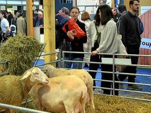 Salon de l'agriculture 2026 : pas de vaches, 600 000 visiteurs attendus, syndicats remontés... Une 62e édition très particulière s'ouvre ce samedi