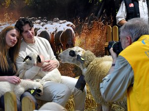 ÉDITO. Venir, c'est soutenir ? Pour l'Aveyron, un Salon de l'agriculture sans ses stars mais pas sans enjeux