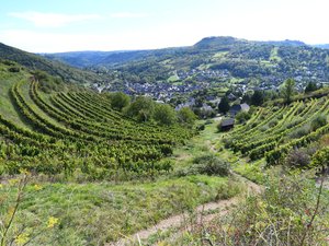 Salon de l'agriculture 2026 : l'Aveyron récolte ses premières médailles