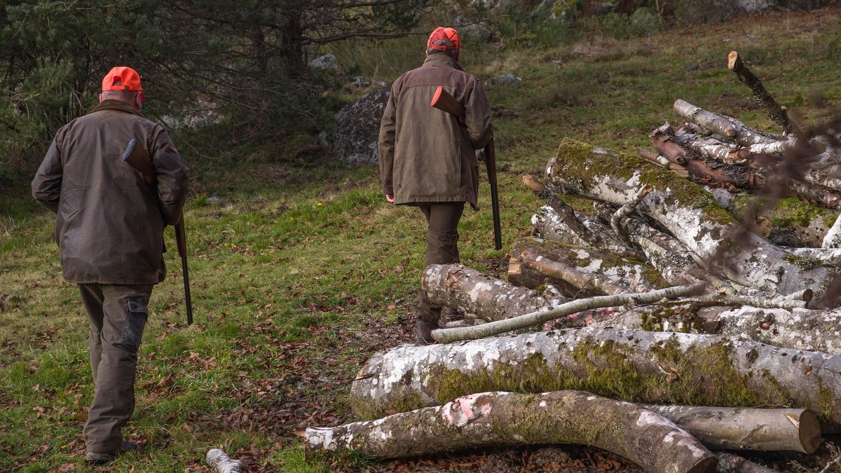 Il faisait l'objet d'une disparition inquiétante, des chasseurs ...