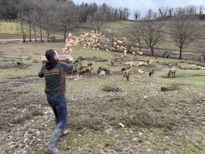 VIDÉO. Dans ce parc animalier de l'Aveyron, "tout se transforme, tout se réutilise"