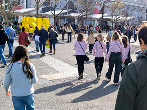 "L'une des pires années" : au Salon de l'agriculture, les exposants aveyronnais accusent le coup face à la baisse de la fréquentation