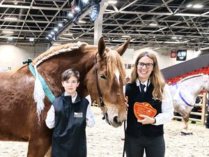 Salon de l'agriculture : avec "Nala du Mas", l'Aveyron revient sur la scène des équidés
