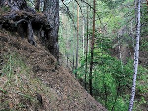 "Un miraculé" : un avis de disparition inquiétante avait été lancé, le conducteur se trouvait dans un ravin depuis six jours, le témoignage des chasseurs qui l'ont sauvé