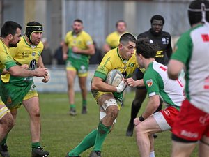 Rugby : LSA s'offre un succès majuscule