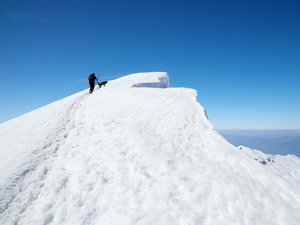 Ils empruntaient les chemins de randonnée pour contourner les douaniers : des cigarettes de contrebande retrouvées enfouies à plus de 2 000 m d'altitude