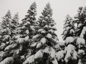 "Il skiait avec des amis" : un adolescent de 17 ans se tue sur les pistes d'une station de ski des Pyrénées
