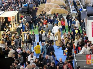 Salon de l'agriculture : main aux fesses et SMS très déplacés, le vice-président d'une chambre d'agriculture soupçonné d'agression sexuelle