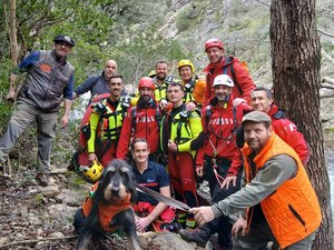 "Il faut sauver Suchi" : le collier GPS permet de localiser la chienne qui s'est égarée pendant une battue de chasse, elle s'était réfugiée à 4 m de haut toute une nuit