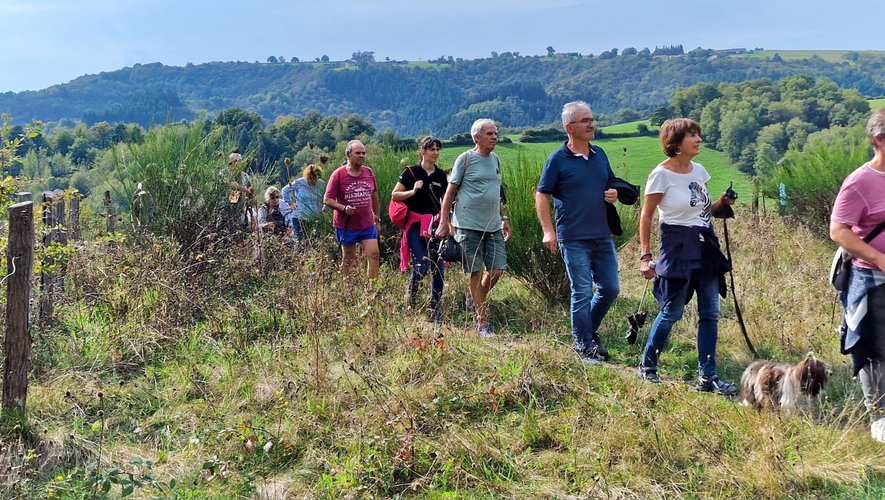 Hiking and cinema: in the footsteps of the mythical stretch of the Way of Saint James in western Aveyron.