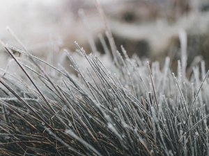 Météo : le froid joue les prolongations en Aveyron, jusqu'à -4,5°C enregistrés durant les premières heures de ce samedi 28 mars