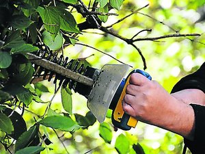 Agriculture : dans ces communes de l'Aveyron, l'interdiction de la taille des haies et des arbres est reportée au 16 avril