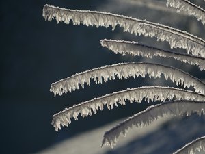 CARTE. Météo : Neige-verglas et rafales de vent, le froid perdure, la moitié de l'Occitanie en vigilance jaune ce dimanche 29 mars