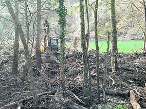 Après les dégâts causés par les intempéries en Aveyron, près de 400 m³ de bois mis à disposition gratuitement