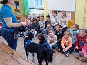 Quand les animaux deviennent des partenaires d'apprentissage, le nouveau concept de ce groupe scolaire en Aveyron