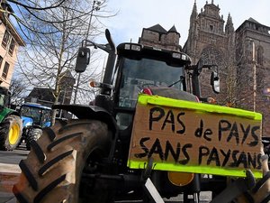 "Nous ne voulons pas de mesurettes" : vers une nouvelle mobilisation des agriculteurs en France face aux prix des carburants ?