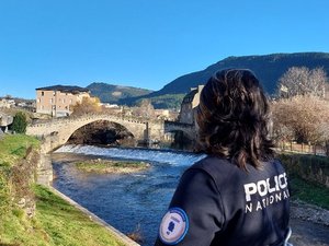 Elle enjambe le pont à la vue des policiers, ils détournent son attention pour l'attraper juste avant qu'elle ne saute
