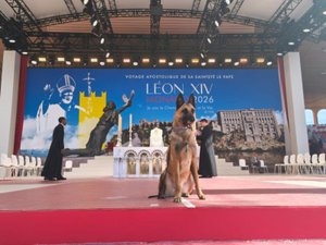Insolite : quand Tokyo, la chienne renifleuse de bombes d'Occitanie, part à Monaco pour protéger le pape Léon XIV