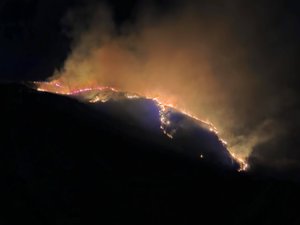 EN IMAGES. 152 sapeurs-pompiers, 22 casernes... 110 hectares de forêts partent en fumée en Occitanie