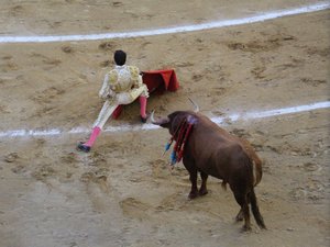 Lors des préparatifs d'une corrida, un ancien matador meurt encorné par un taureau