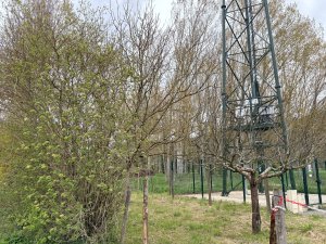 Une antenne mise en service dans cette commune de l'Aveyron après trois ans de débats et maintes oppositions