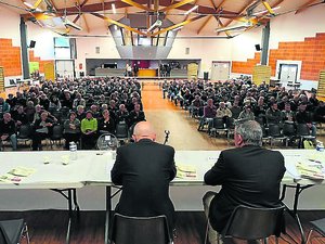 INTERVIEW. "La prolifération peut entraîner d'importants dégâts sur les cultures, jardins et routes" : le grand gibier dans le viseur des chasseurs de l'Aveyron