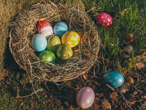 La chasse aux oeufs géante dans les bois vire au cauchemar : la chute d'un arbre tue une maman, son bébé et une adolescente