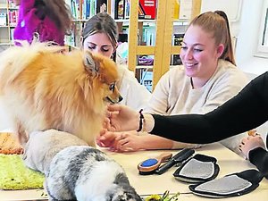 Une "Pause Poils" insolite à Rodez : la médiation animale aux côtés des futurs enseignants