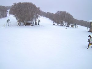 EN IMAGES. Une parenthèse hivernale en Aveyron : la neige était de retour lundi matin sur l'Aubrac et le Lévézou