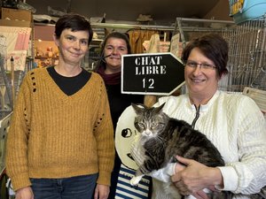 VIDÉO. "Sans les donateurs, on ne tient pas" : l'association Chat libre 12 qui offre une nouvelle vie aux chats errants, fête ses dix ans ce 19 avril