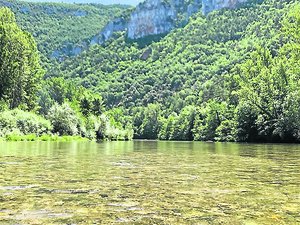"Des dizaines de décès de chiens sur ce secteur" : les cyanobactéries, un fléau même hors saison dans cette rivière de l'Aveyron ?