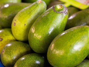 Contaminés au plomb et au cadmium : ces avocats vendus chez Lidl rappelés partout en France