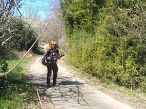 "Quand on la repère, il faut agir vite" : haro sur la pyrale du buis qui sévit en ce moment dans ce secteur de l'Aveyron