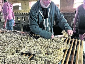 "Un produit performant, écologique et ancré dans nos territoires" : la laine tisse sa renaissance sur les Grands Causses