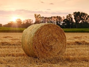 Jour du dépassement : il tombe ce vendredi 24 avril 2026 en France, qu'est-ce que cela implique ?