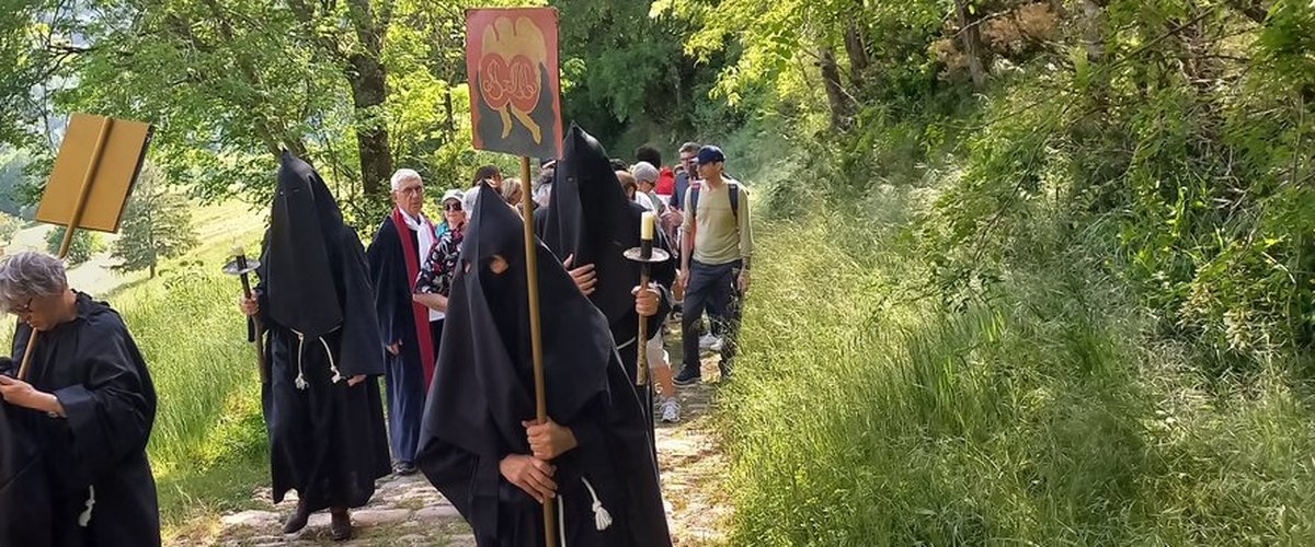 Drame de Villefranche-de-Rouergue : "Il y a eu un choc et on s’est retrouvé dans les branchages", à bord de la calèche qui a percuté la précédente, un témoin raconte